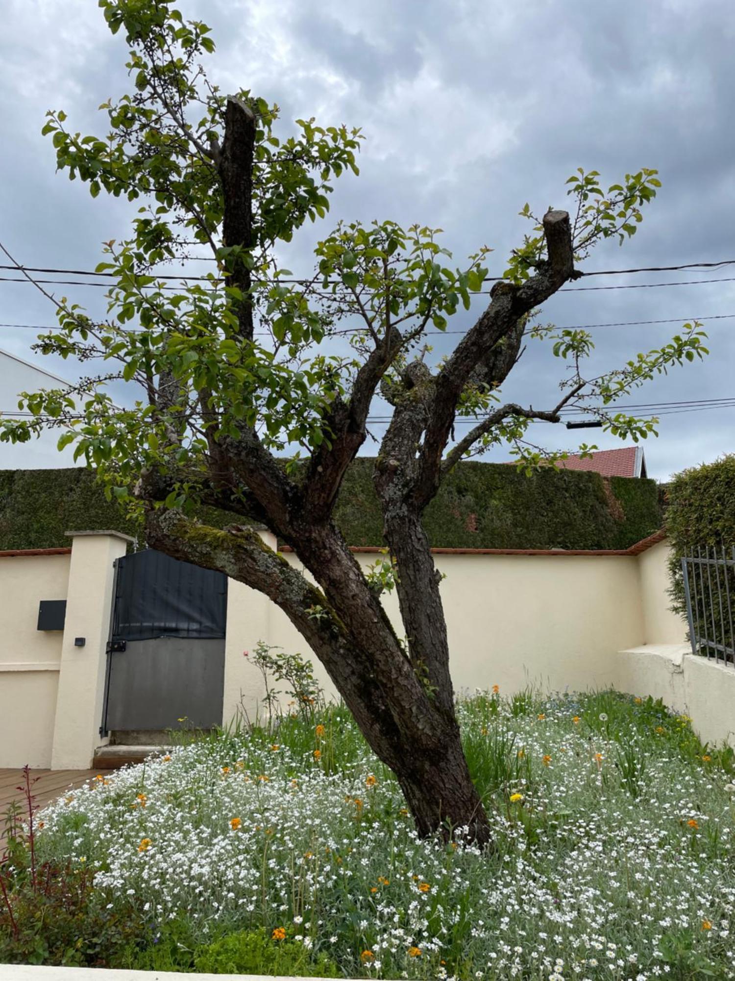 Ferienhaus A La Maison *